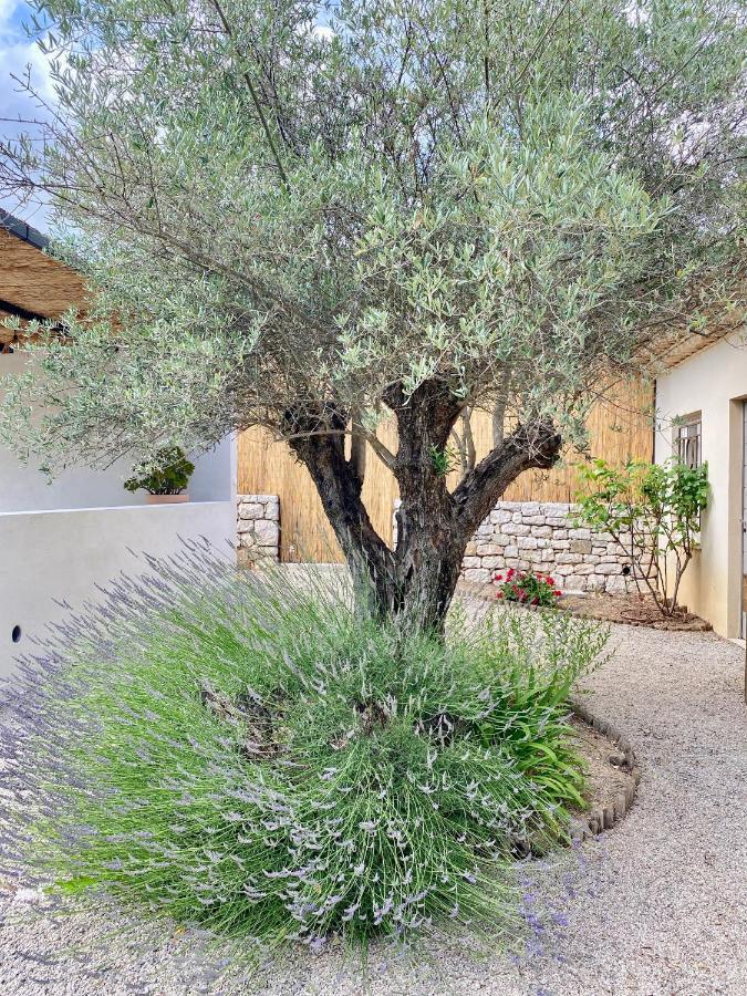 Le Cabanon Valbonne Apartment Bagian luar foto